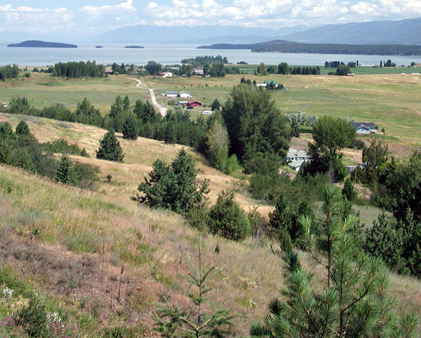 Flathead Lake