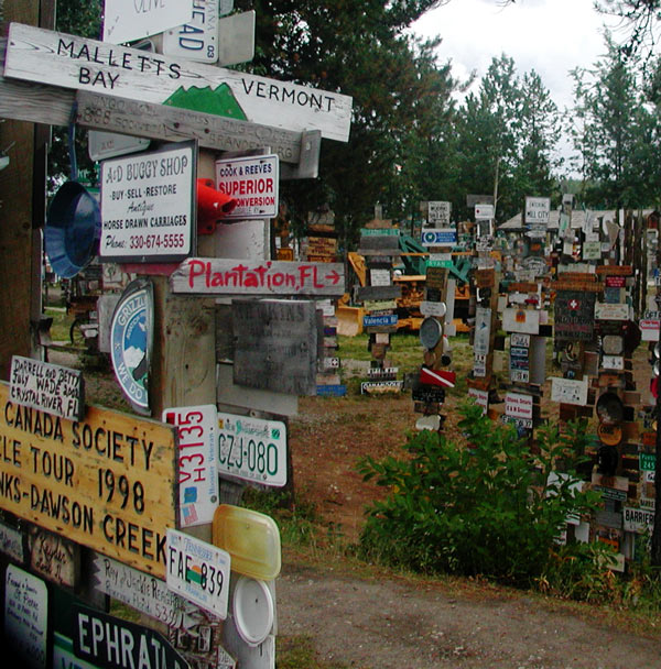 Signpost forest